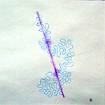 I Said It's Like a Laser Beam 2010